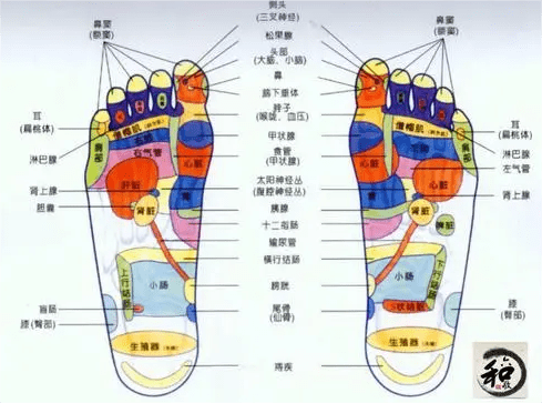 为什么选用石墨烯电地暖？